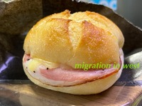 IMG_2862iju