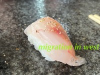 IMG_9076iju