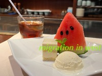 IMG_2611iju