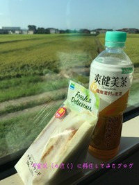 IMG_0855iju