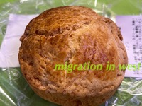 IMG_3038iju