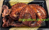 IMG_1918iju