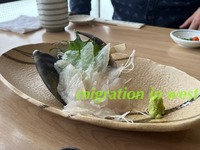 IMG_9057iju