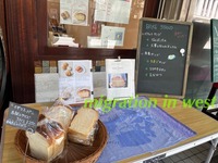 IMG_2373iju