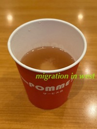 IMG_3587iju