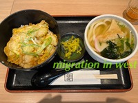 IMG_3927iju
