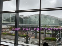 IMG_1130iju