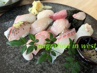 IMG_9067iju