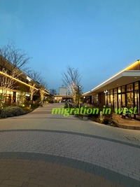 IMG_3808iju