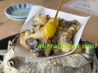 IMG_9063iju
