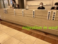 IMG_2310aiju