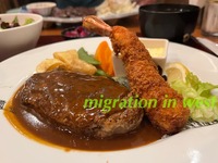 IMG_2739iju