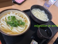 IMG_2572iju