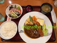 IMG_2736iju