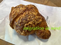 IMG_2443iju