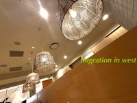 IMG_4438iju