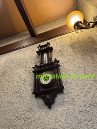 IMG_4168iju