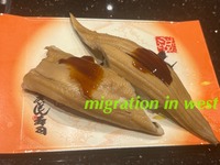 IMG_7504iju