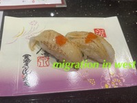 IMG_7489iju