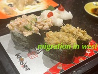 IMG_7507iju