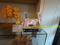IMG_9146iju