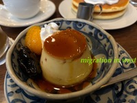 IMG_4176iju