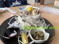 IMG_9059iju