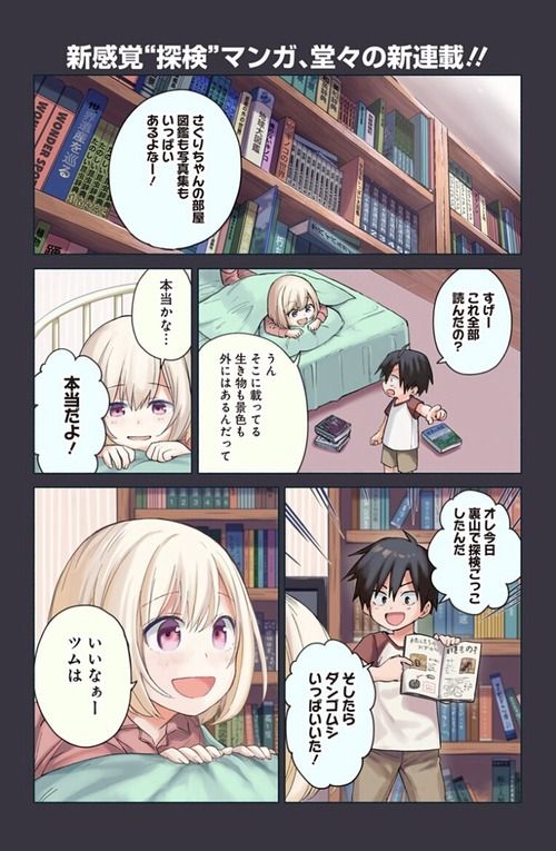 【画像】ジャンプで最高にかわいい漫画の連載が始まる