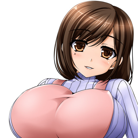 おっぱおエロ画像って最高だよな7760