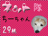 ちーちゃん