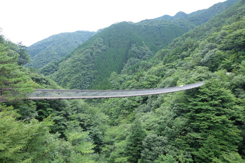 DSCF7191