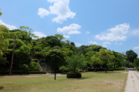DSCF0219