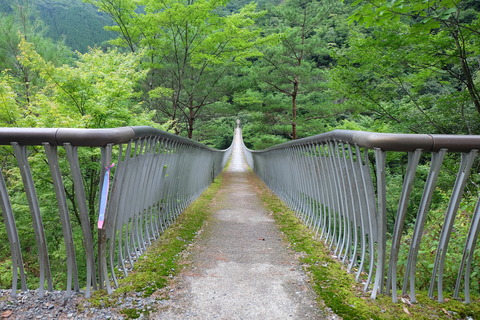 DSCF7197