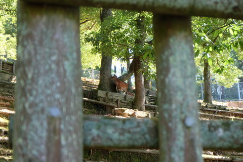 DSCF1159