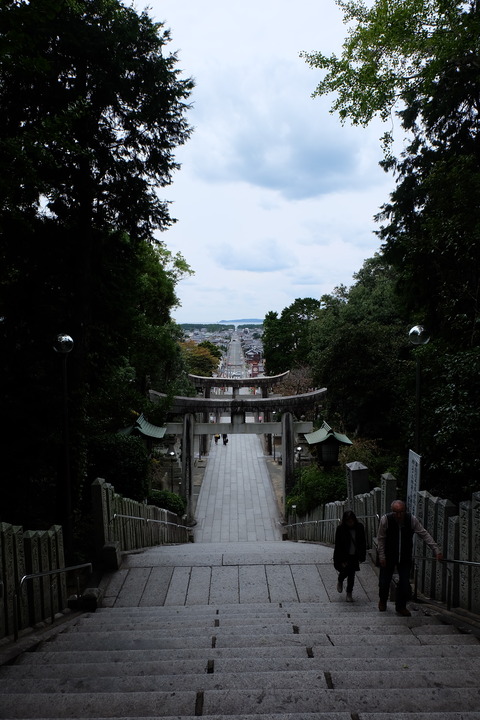 DSCF7541