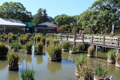 20201026_012643000_iOS