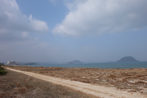 DSCF8994
