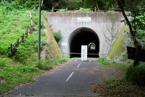 DSCF1123