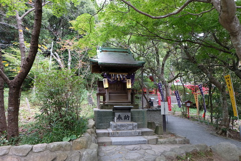 DSCF7551