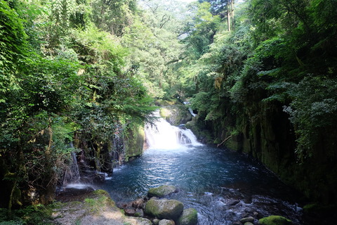 DSCF7292