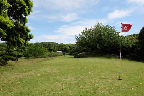 DSCF6897