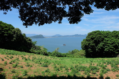 DSCF6886