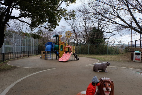 DSCF9176