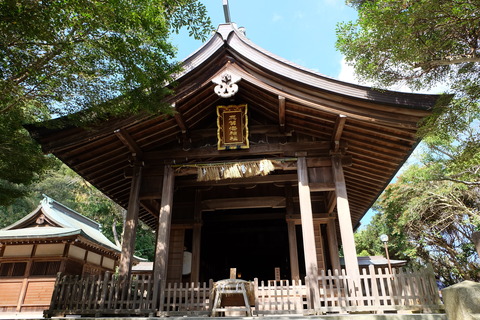 DSCF7478