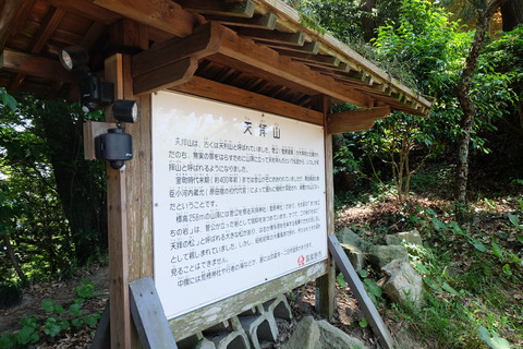 DSCF0237