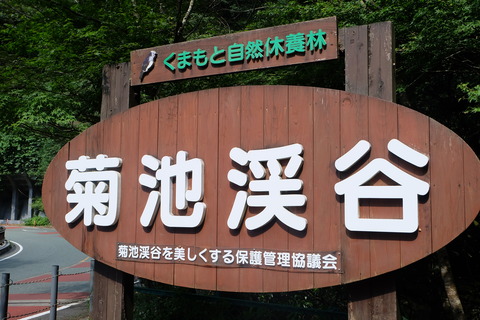 DSCF7270