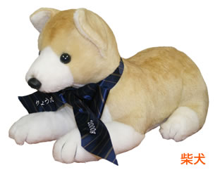 wdog_c4a