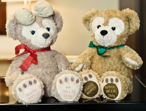 duffy_ashi01