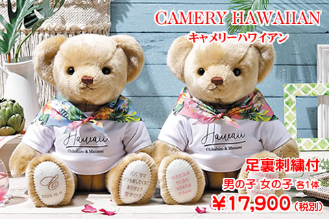 topban_camery_h_22