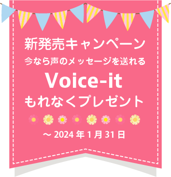 voiceit_flag